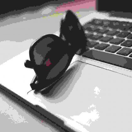 SAMPLE/_glasses