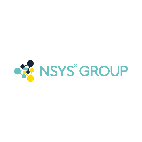 NSYS Group (1)